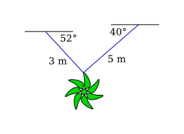 decoration